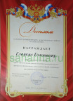 Диплом 2024 год
