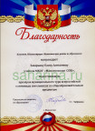 Диплом 2017 год